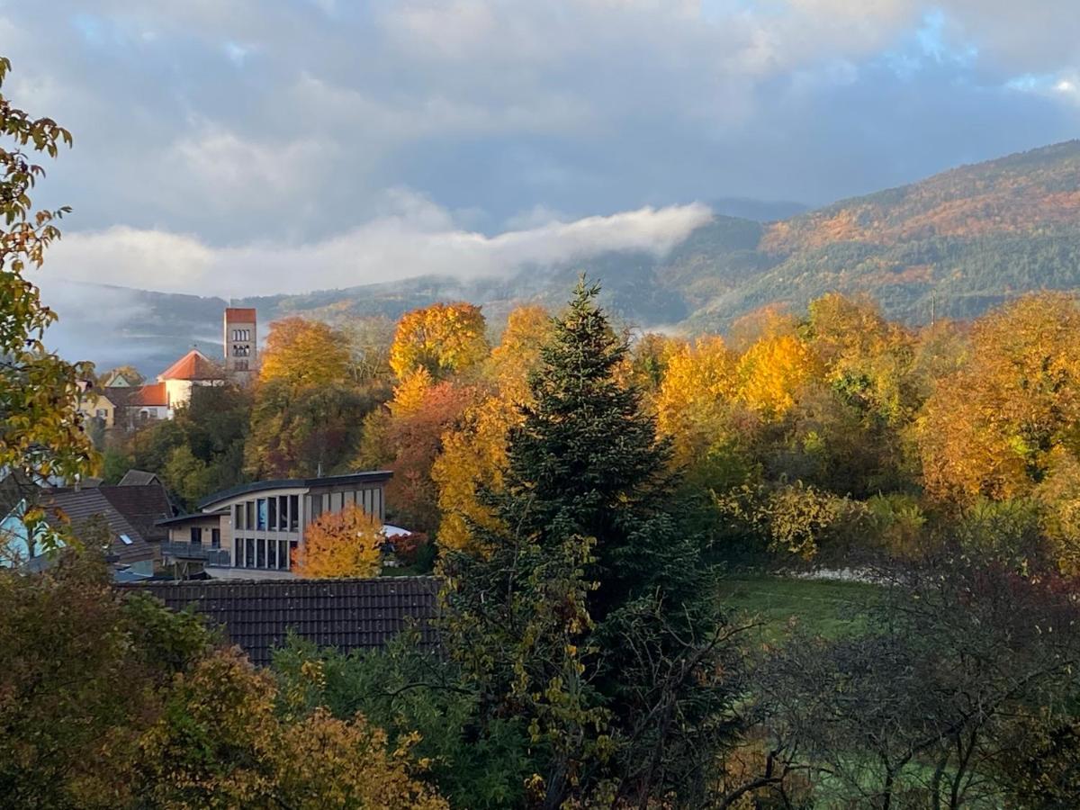 Le Moonloft Insolite Tiny-House Dans Les Arbres & 1 Seance De Sauna Pour 2 Avec Vue Panoramique Osenbach Exteriör bild