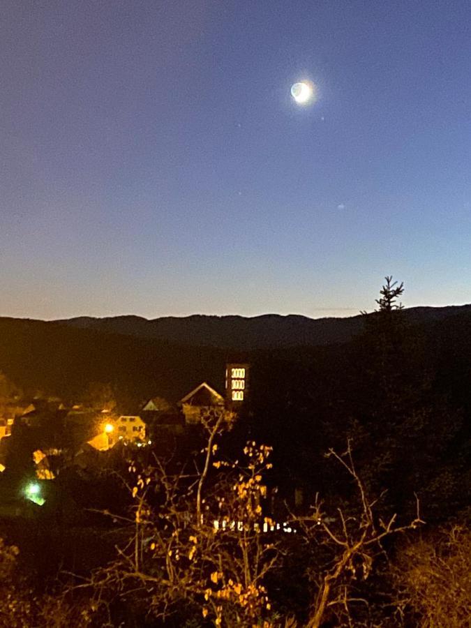 Le Moonloft Insolite Tiny-House Dans Les Arbres & 1 Seance De Sauna Pour 2 Avec Vue Panoramique Osenbach Exteriör bild
