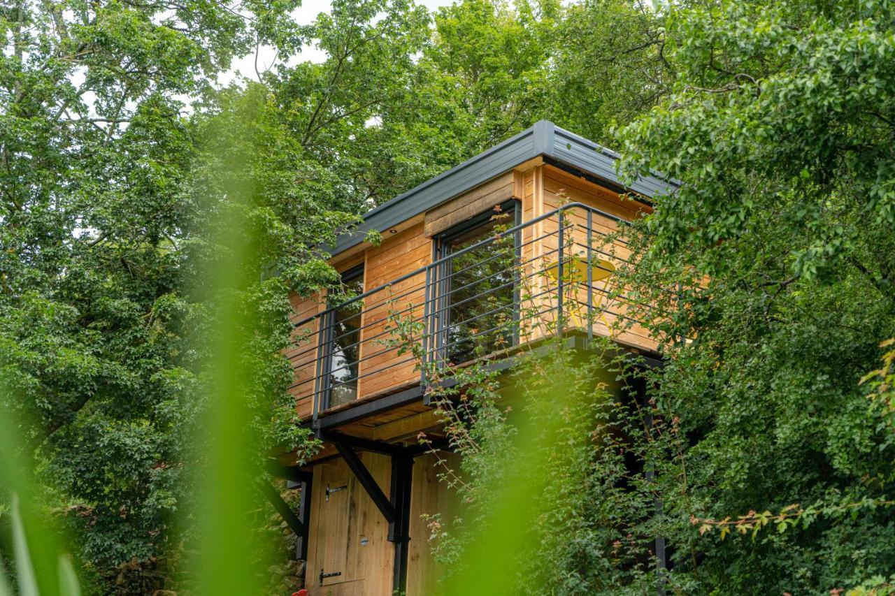 Le Moonloft Insolite Tiny-House Dans Les Arbres & 1 Seance De Sauna Pour 2 Avec Vue Panoramique Osenbach Exteriör bild