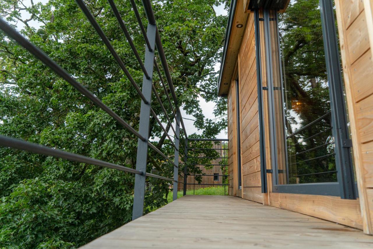 Le Moonloft Insolite Tiny-House Dans Les Arbres & 1 Seance De Sauna Pour 2 Avec Vue Panoramique Osenbach Exteriör bild