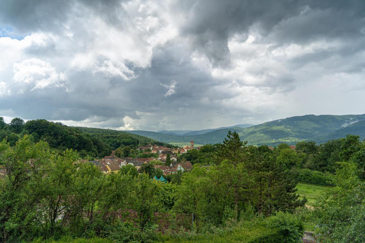 Le Moonloft Insolite Tiny-House Dans Les Arbres & 1 Seance De Sauna Pour 2 Avec Vue Panoramique Osenbach Exteriör bild