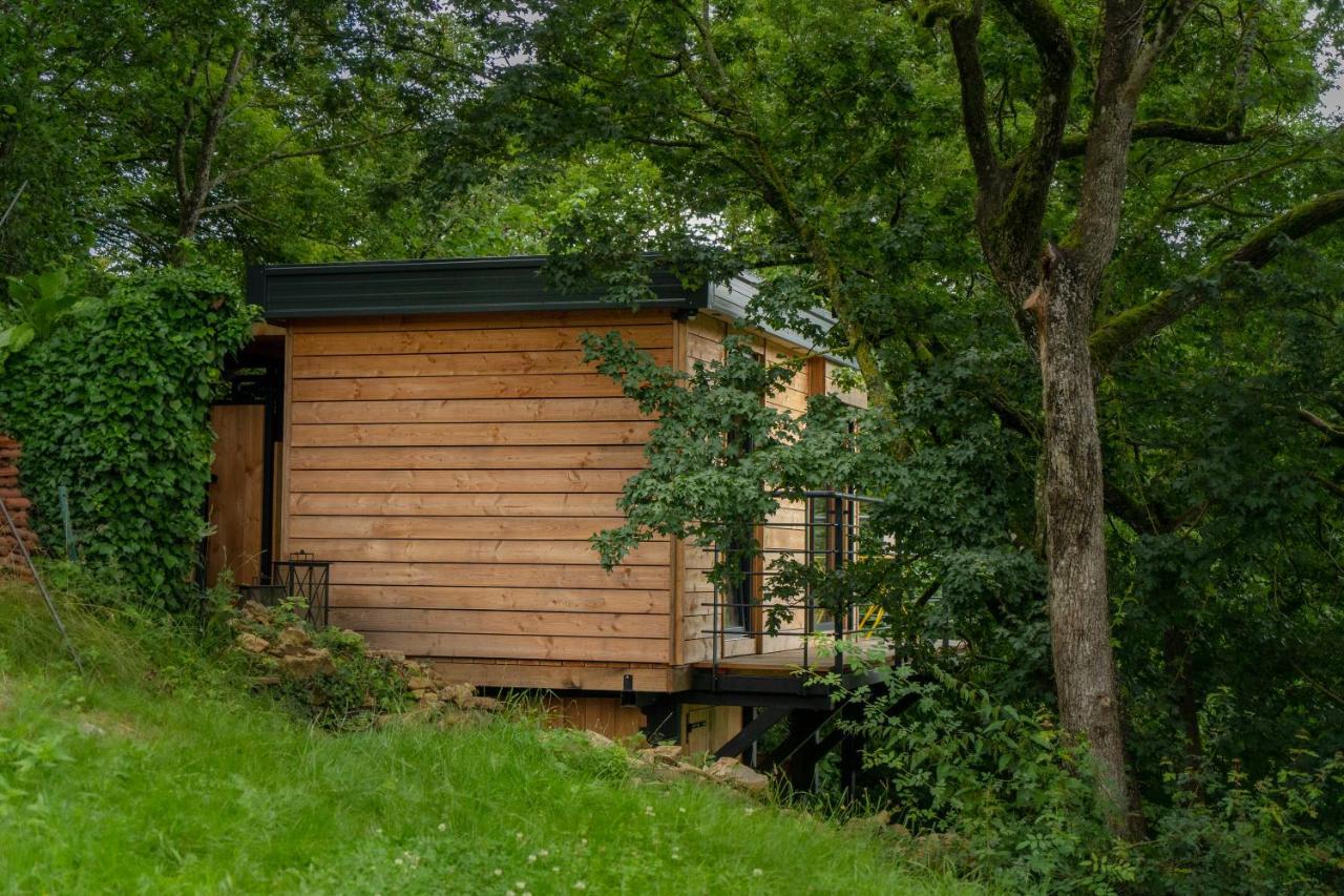Le Moonloft Insolite Tiny-House Dans Les Arbres & 1 Seance De Sauna Pour 2 Avec Vue Panoramique Osenbach Exteriör bild